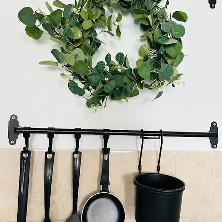 Urban Green Oasis In The Center Of